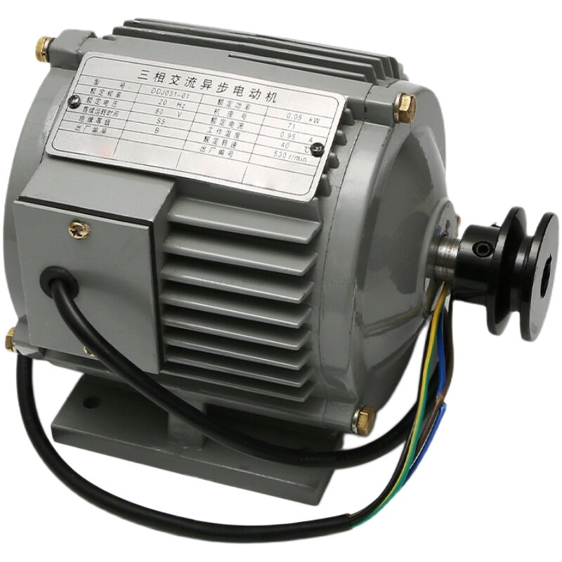 Elevator Door Operator Motor DDJ031-01 Elevator Spare Part