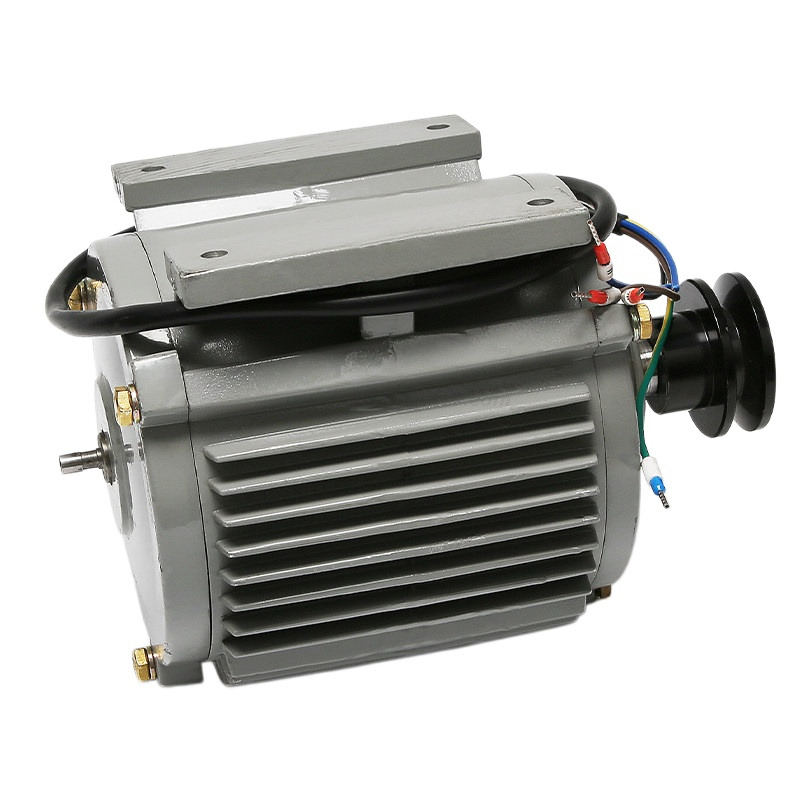 Elevator Door Operator Motor DDJ031-01 Elevator Spare Part